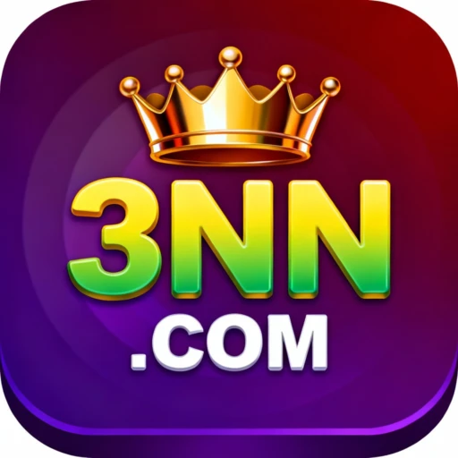 3NN